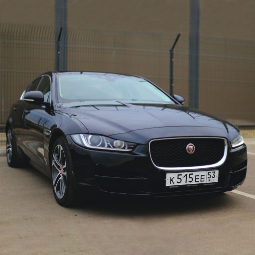 Jaguar Placeholder 01