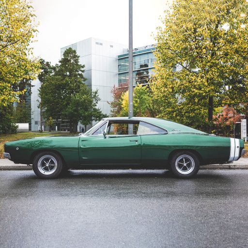 Placeholder Dodge 02